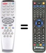 Replacement remote control Grandin 55FV05