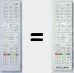 Original remote control RC4875 (23284829)