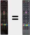 Original remote control RC 4876 (30088184)