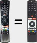Original remote control RC4318 (30100823)