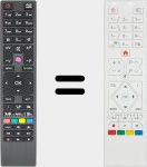 Original remote control RC4876 (30089240)