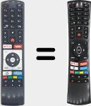 Original remote control RC4390P (30101765)