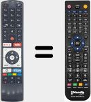 Replacement remote control for 30101761 (RC4318P)