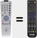 Replacement remote control for TP 100 C (296420614102)
