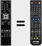 Replacement remote control for NF036RD