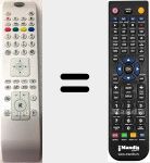 Replacement remote control for RC4800 (30077447)