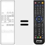 Replacement remote control for SP 699001