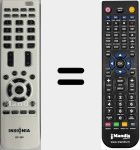 Replacement remote control for RC-305 (098GRASWBNEBYA)