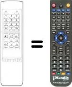 Replacement remote control Gm CTV 137