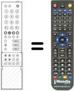 Replacement remote control FB 300