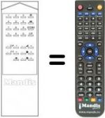 Replacement remote control RM 100