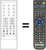 Replacement remote control RC1000