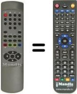 Replacement remote control RC2171