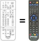Replacement remote control RC9900