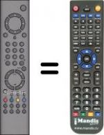 Replacement remote control Universum FT LCD 8145