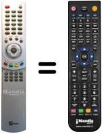 Replacement remote control Telesystem 23' YOUNG (B)