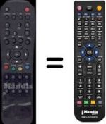 Replacement remote control WHV3191W