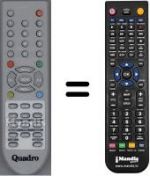 Replacement remote control WHV3989