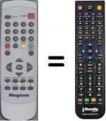 Replacement remote control WHV3974