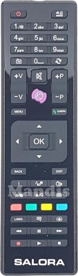 Original remote control SALORA RC4875 (23266443)