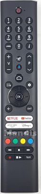 Original remote control PANASONIC RC45192 (30115448)