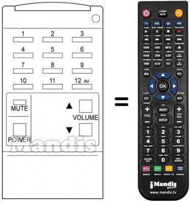 Replacement remote control 300.51293