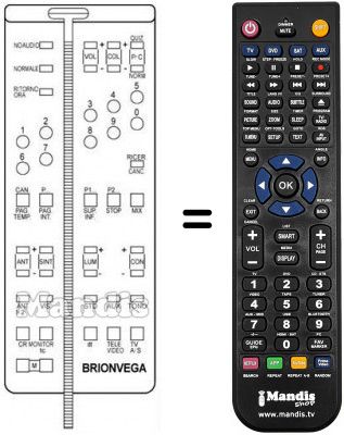 Replacement remote control 660.01.0191