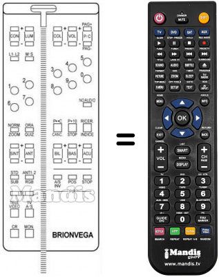 Replacement remote control Brionvega OPERA HIFI 34