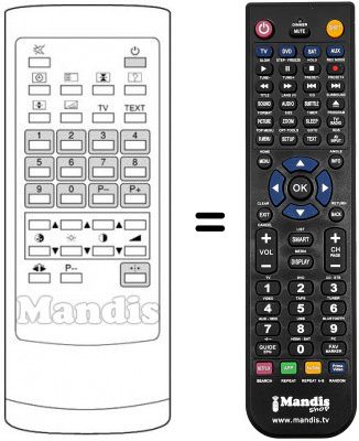 Replacement remote control 9055