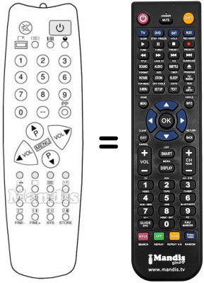 Replacement remote control 1007091008 (90 CHANNELS)
