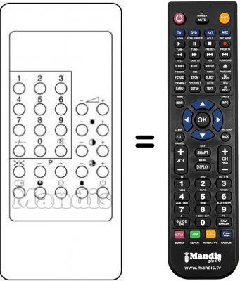Replacement remote control RC 300