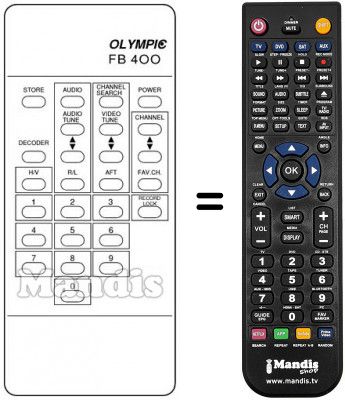 Replacement remote control P 310