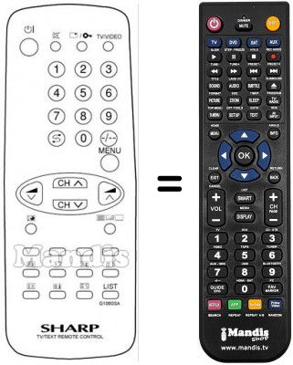 Replacement remote control G 1060 SA