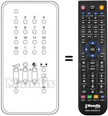 Replacement remote control IR 1000