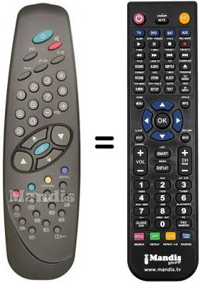 Replacement remote control Goldstar CL 21 N52X