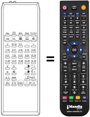Replacement remote control TM 99