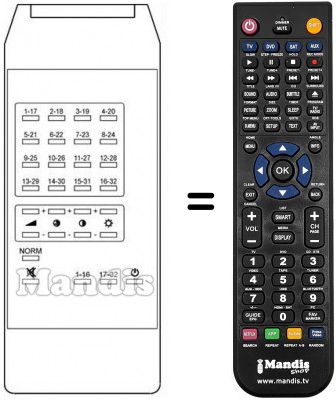 Replacement remote control PRINCE TVC 32 PROG