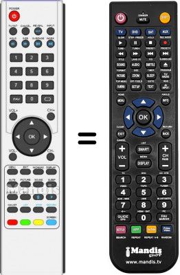 Replacement remote control Blusens H305CIRST2B24PSP-1101471
