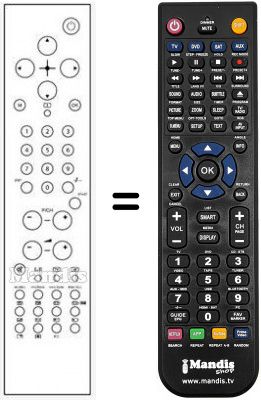 Replacement remote control RC1543-1541