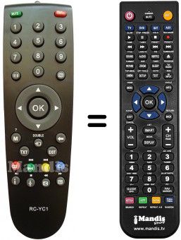 Replacement remote control Grundig 22-2920