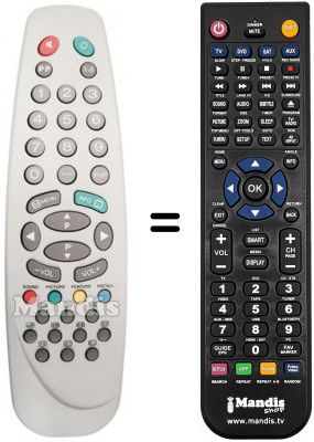 Replacement remote control Vestel CTV5554
