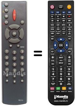 Replacement remote control RC213