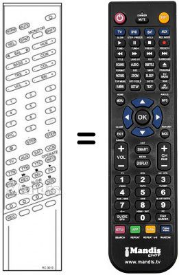 Replacement remote control RC3010