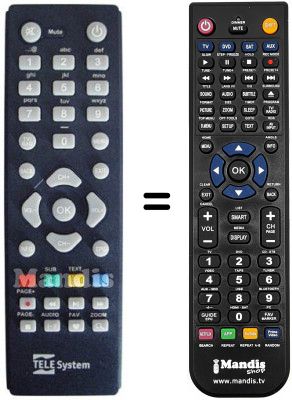 Replacement remote control Telesystem TS3001